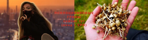 крисы Алексин
