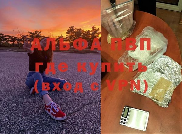 крисы Алексин