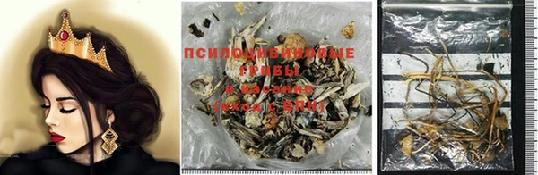 кокс Алзамай
