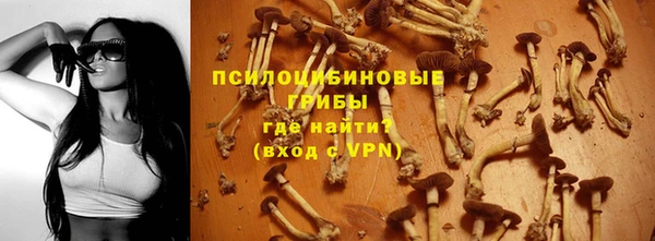 кокс Алзамай