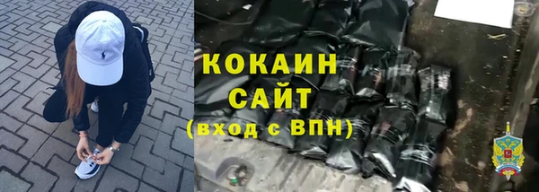 крисы Алексин